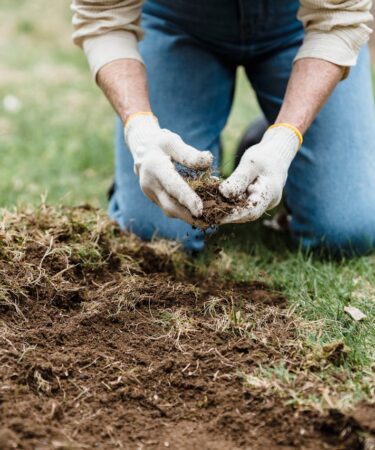Je moestuin klaar maken voor de winter