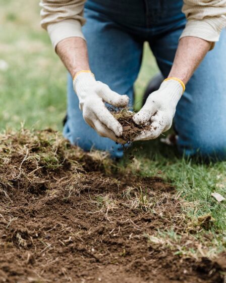 Je moestuin klaar maken voor de winter