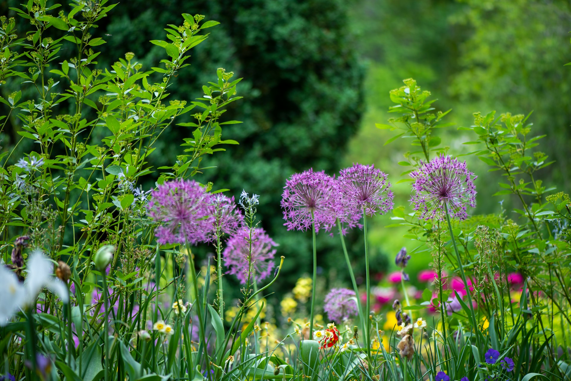 Je tuin een welverdiende opfrisbeurt geven