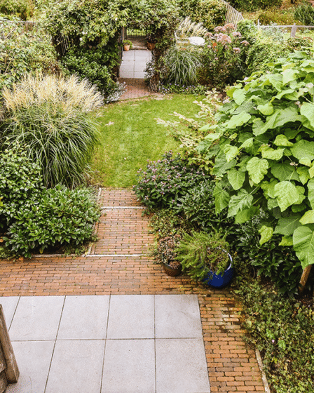Zo verander je jouw tuin van prehistorische steenvlakte naar een groen paradijs