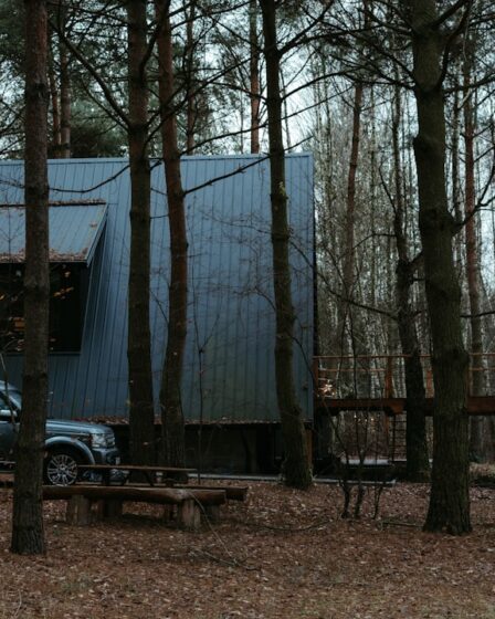 Zo zorg je voor een goed moment om de eerste keer gras te maaien