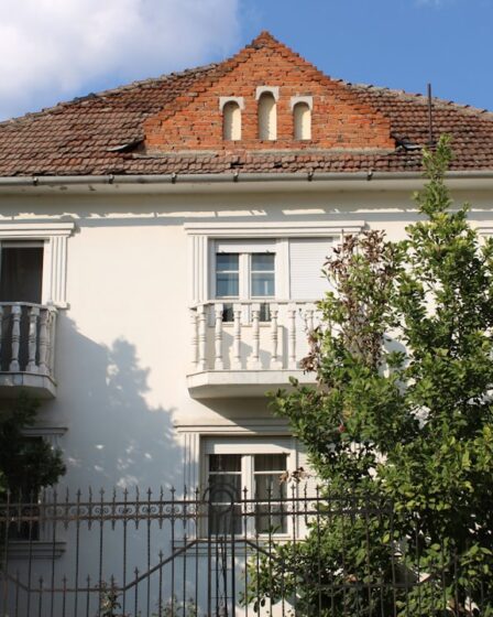 Nieuw gras maaien: de beste start voor een sterk gazon