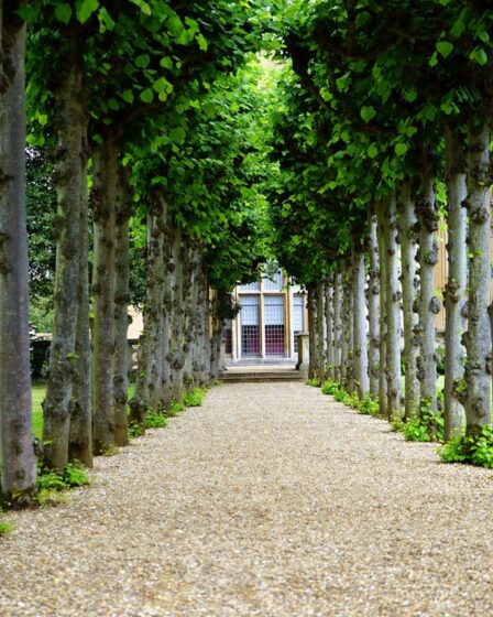 De mooiste buitenverblijven voor jouw tuin: inspiratie en tips