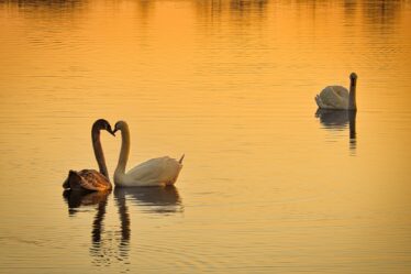 Het privéleven van Caroline van der Plas: liefde, vriendschap en openheid