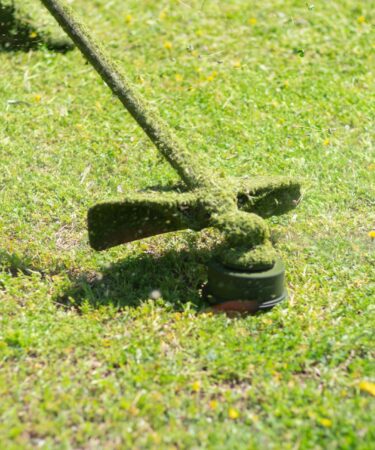 Graszoden leggen en onderhouden: zo krijg je een mooi gazon